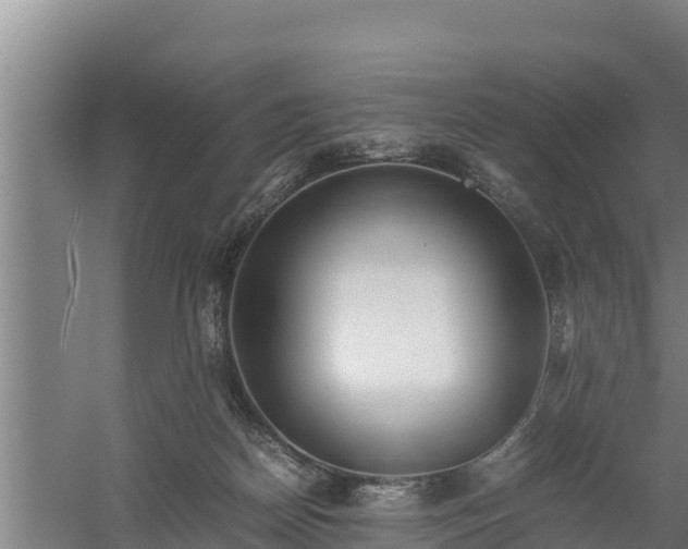 X0000058130170200509302002