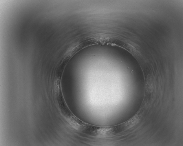 X0000058130172200509302002