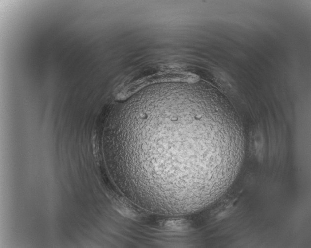 X0000058130173200509302002