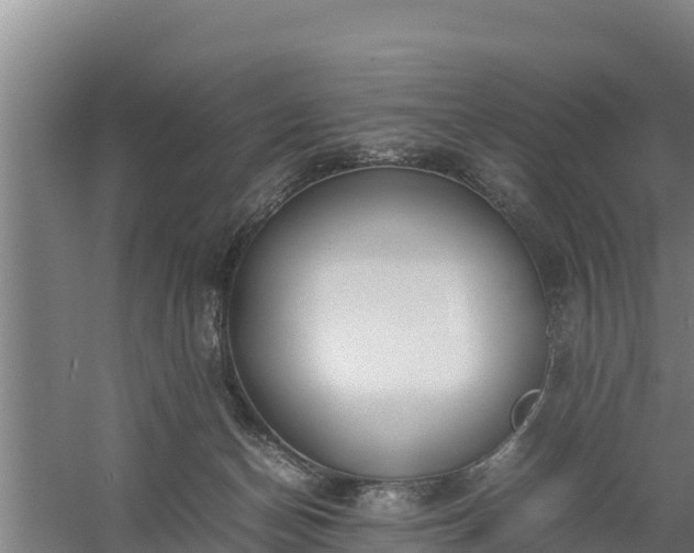 X0000058130174200509302002