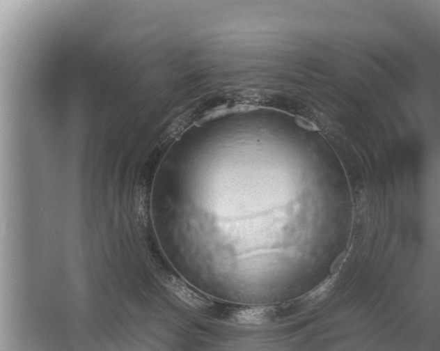 X0000058130178200509302002