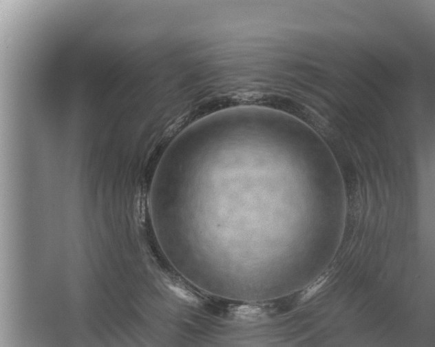 X0000058130180200509302002