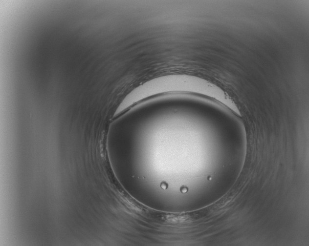 X0000058130185200509302002