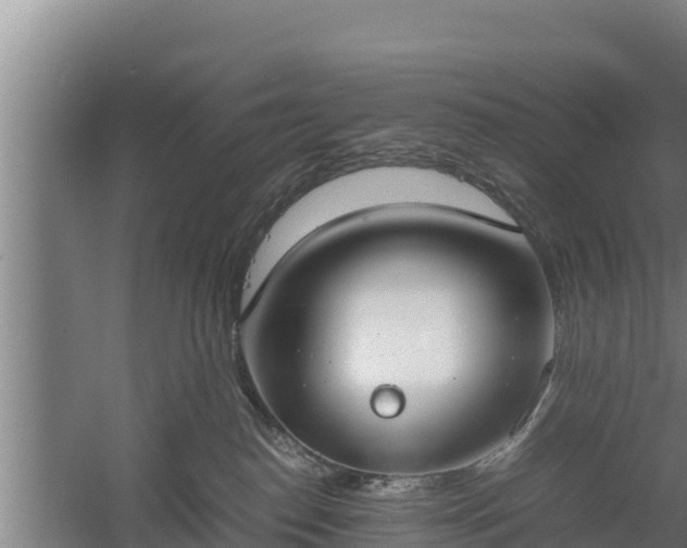 X0000058130186200509302002