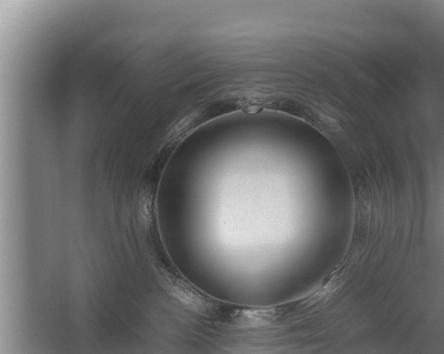 X0000058130188200509302002