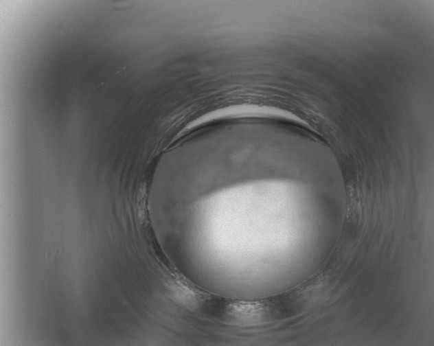 X0000058130189200509302002