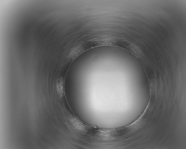 X0000058130190200509302002