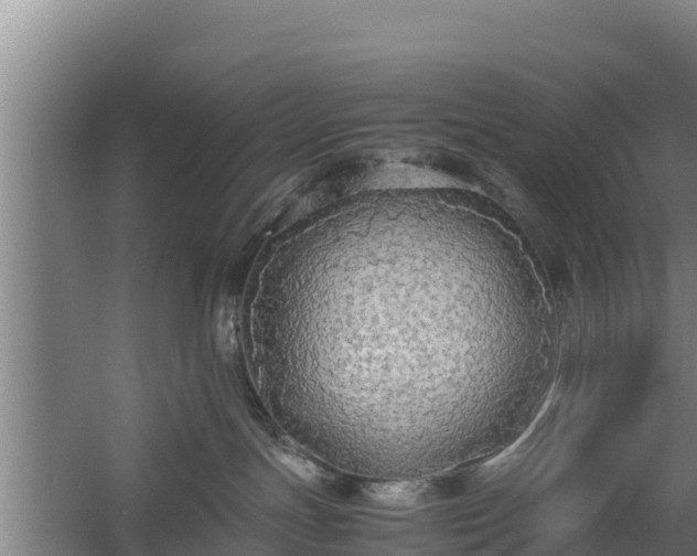 X0000058130191200509302002