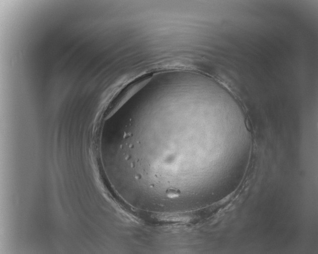 X0000058130193200509302001