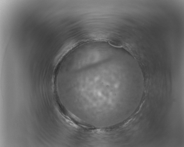 X0000058130194200509302001