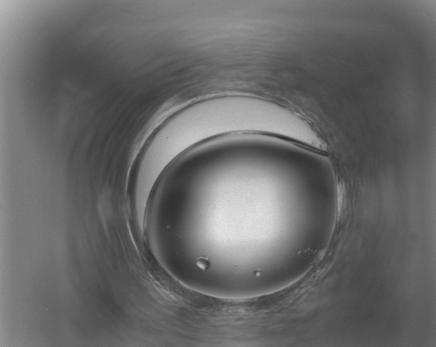 X0000058130195200509302001