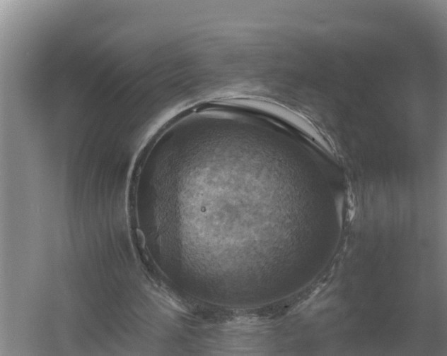 X0000058130196200509302001