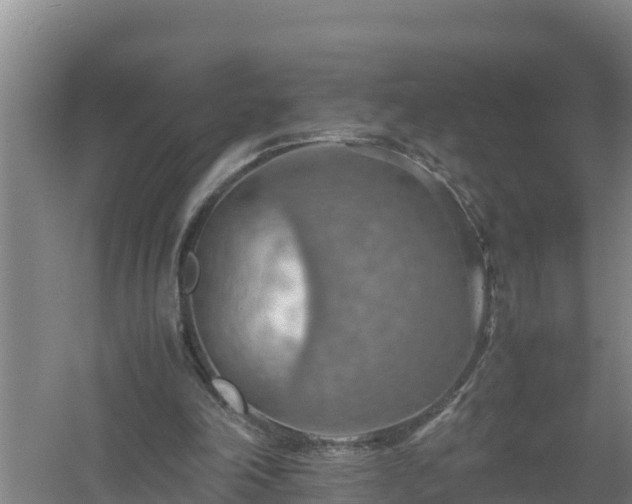 X0000058130198200509302001