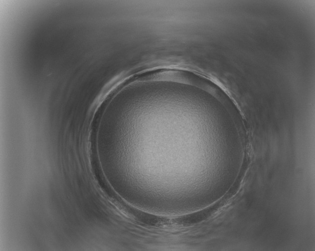 X0000058130199200509302001