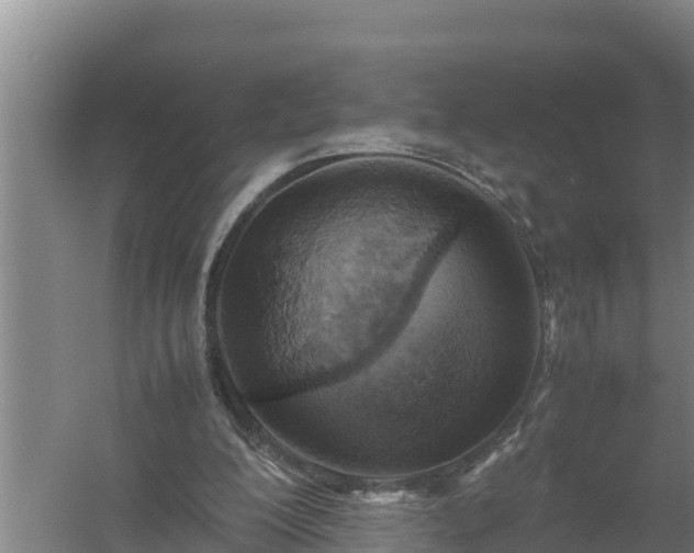 X0000058130200200509302001