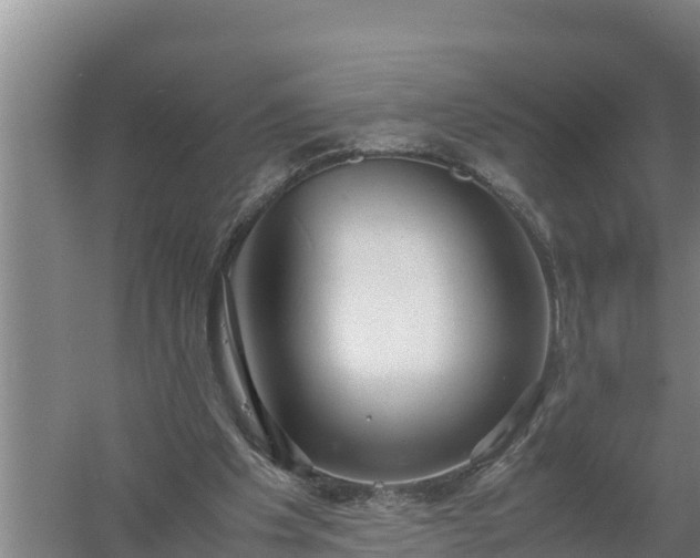 X0000058130201200509302001