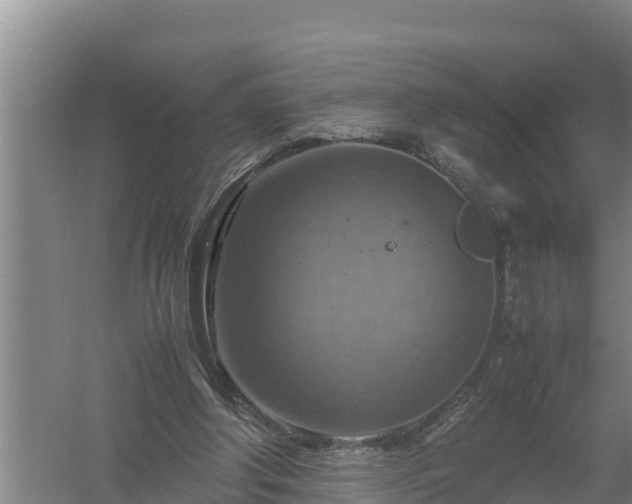 X0000058130202200509302001