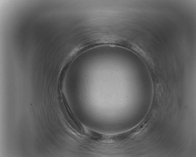 X0000058130203200509302001