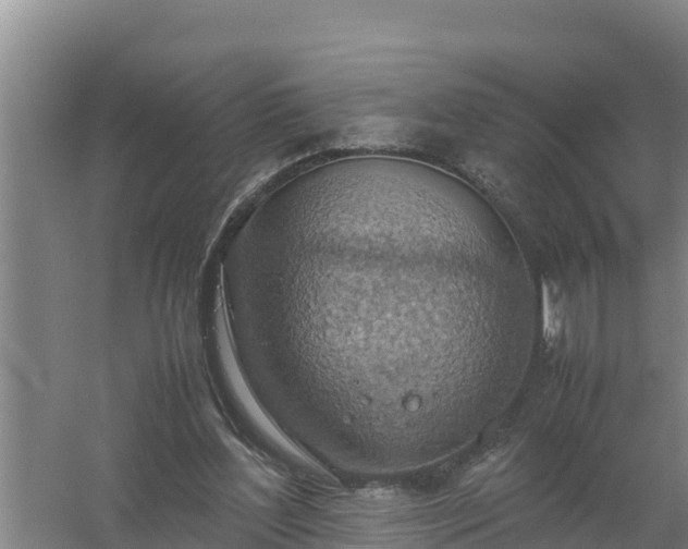 X0000058130204200509302001