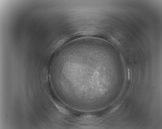 X0000058130205200509302001