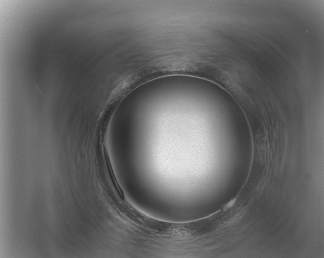 X0000058130207200509302001