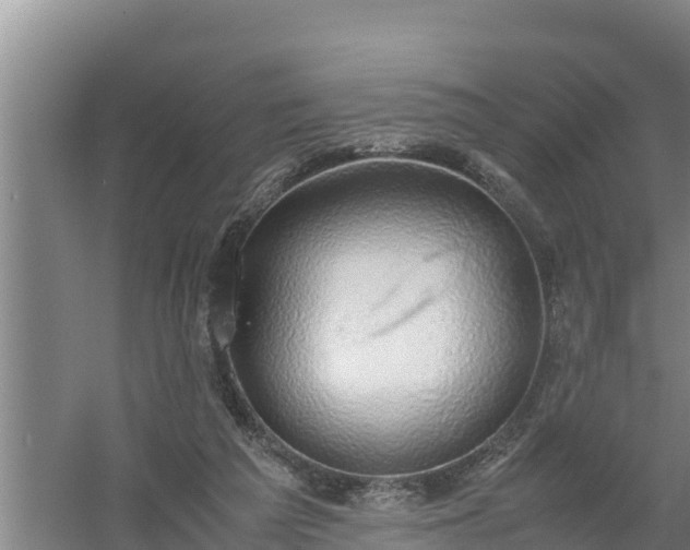 X0000058130209200509302001