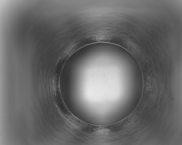 X0000058130210200509302001