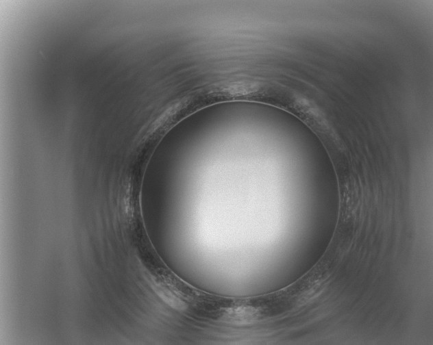 X0000058130212200509302001