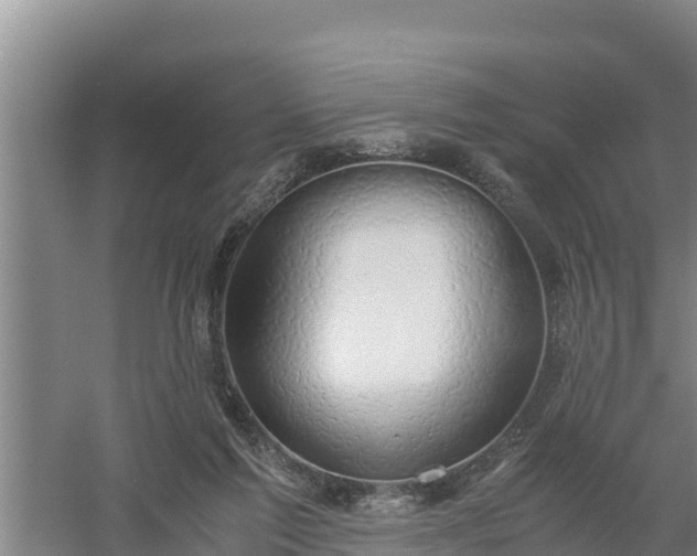 X0000058130213200509302001