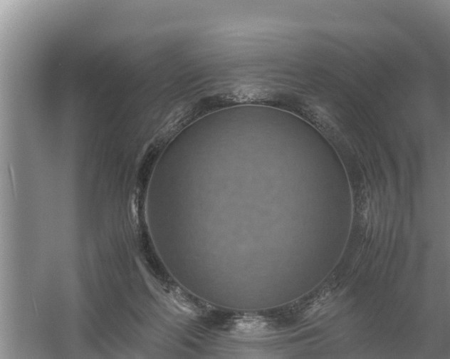 X0000058130214200509302001