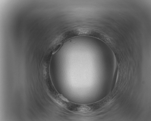 X0000058130215200509302001