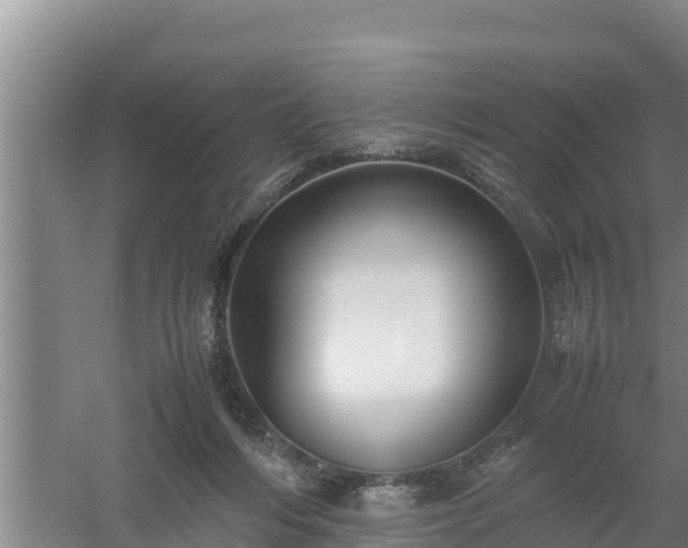 X0000058130216200509302001