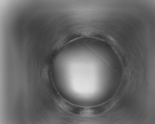 X0000058130217200509302001