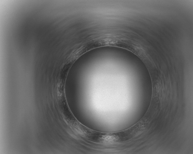 X0000058130218200509302001