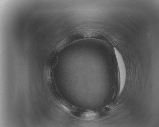 X0000058130219200509302001