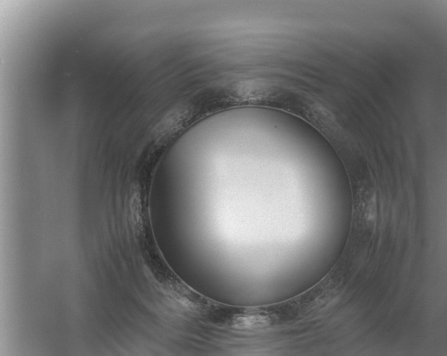 X0000058130220200509302001