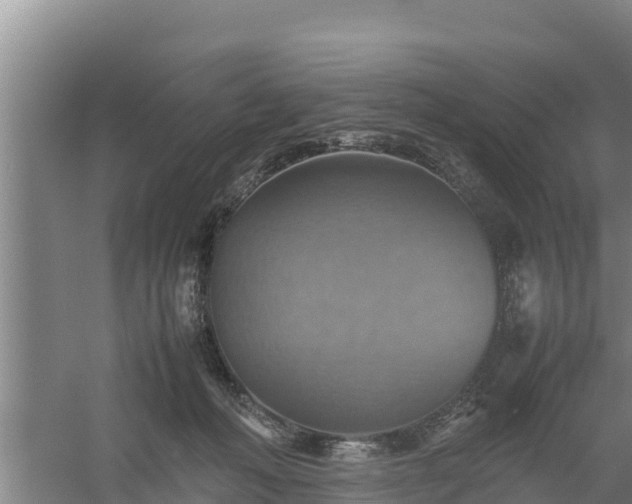 X0000058130222200509302001