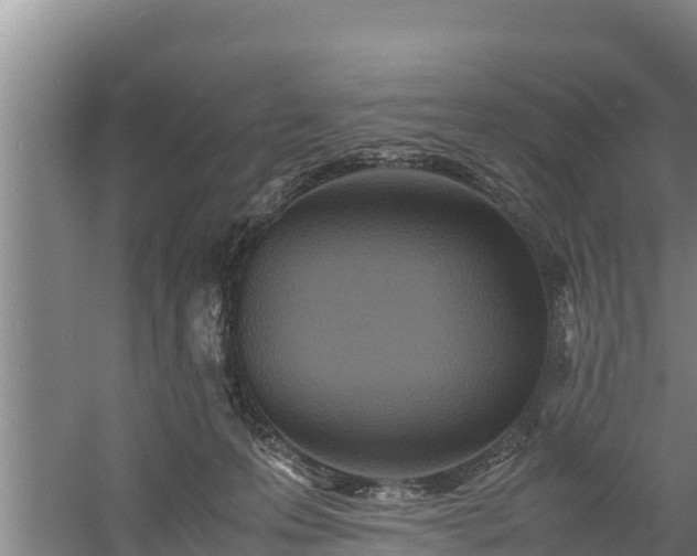 X0000058130223200509302001