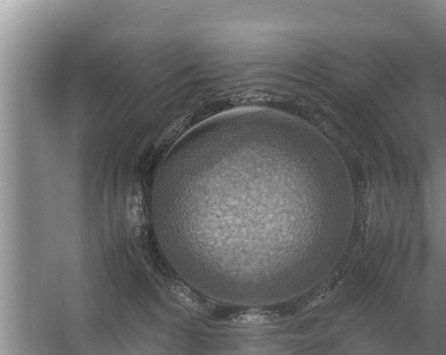 X0000058130224200509302001