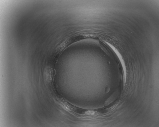 X0000058130227200509302001