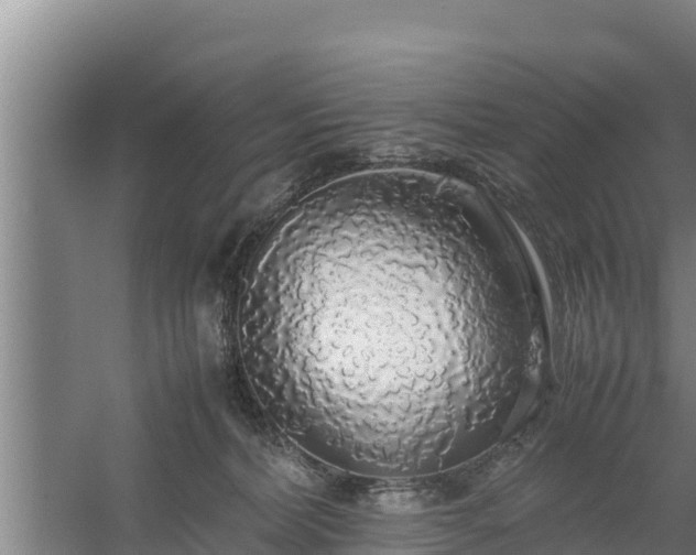 X0000058130228200509302001