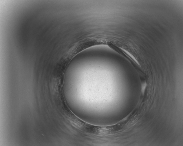 X0000058130229200509302001