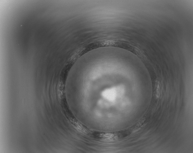 X0000058130230200509302001