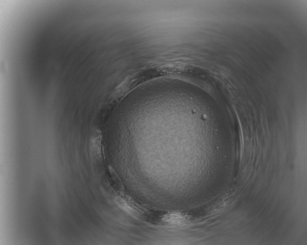 X0000058130231200509302001