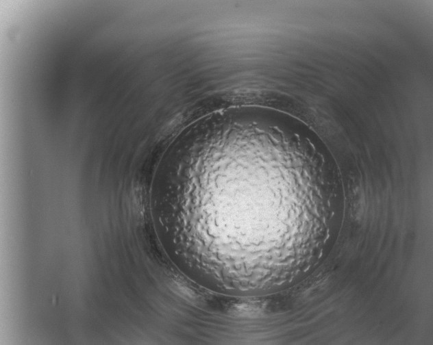 X0000058130232200509302001