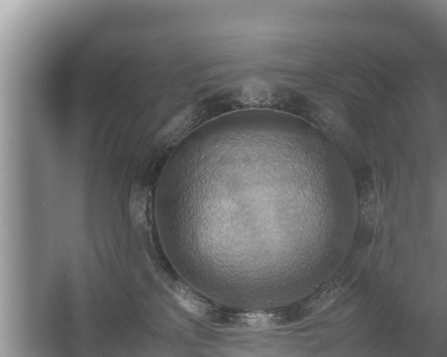 X0000058130233200509302001