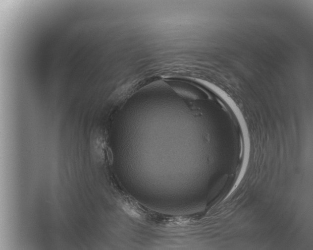 X0000058130235200509302001