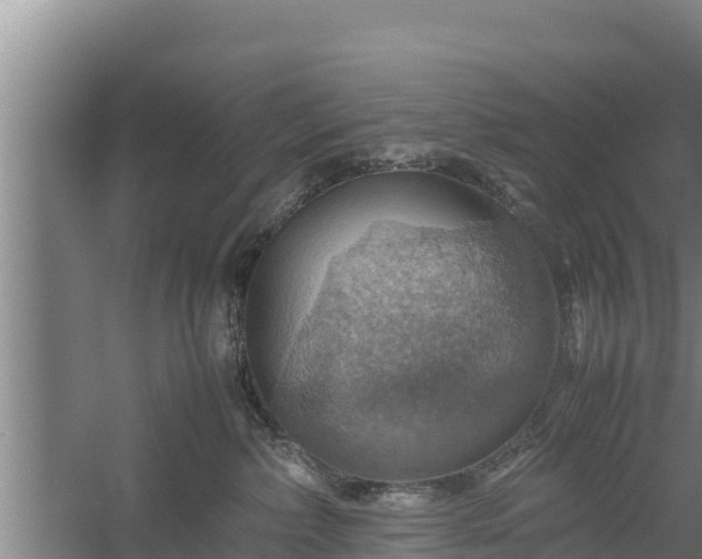 X0000058130236200509302001