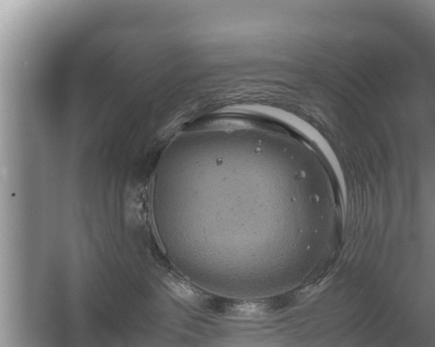 X0000058130237200509302001