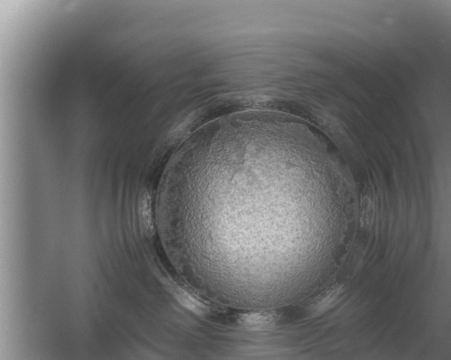 X0000058130238200509302001